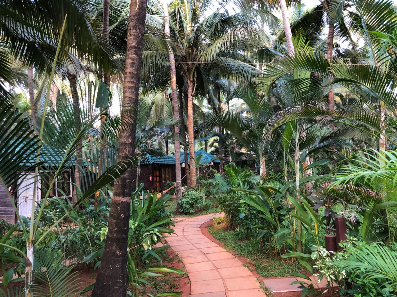 Leela Cottages Morjim Esterno foto
